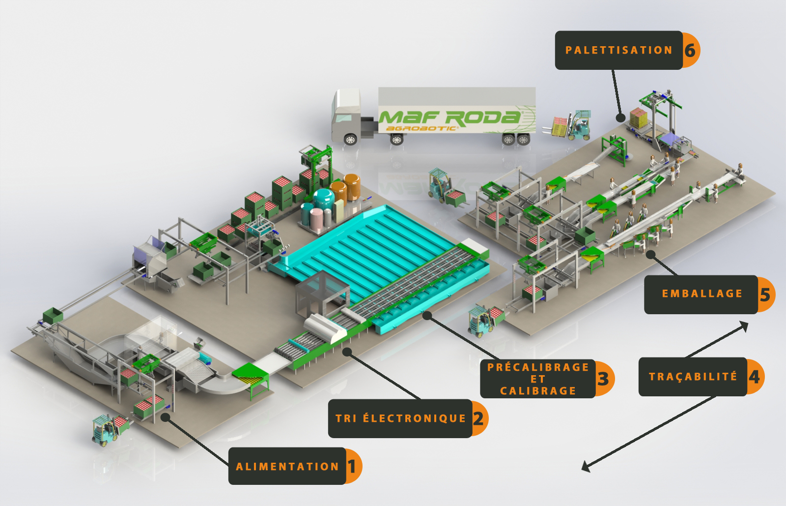 MAF SA process